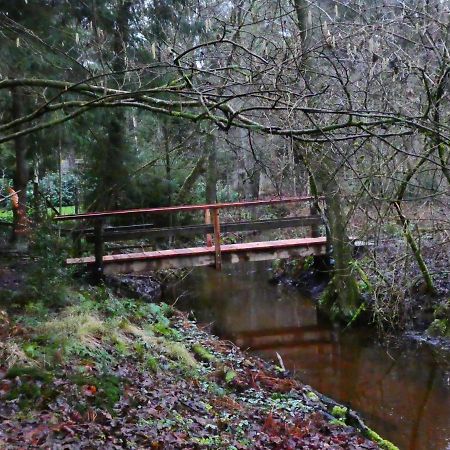 Ferienwohnung Niemann In Lutterloh Unterluss Buitenkant foto