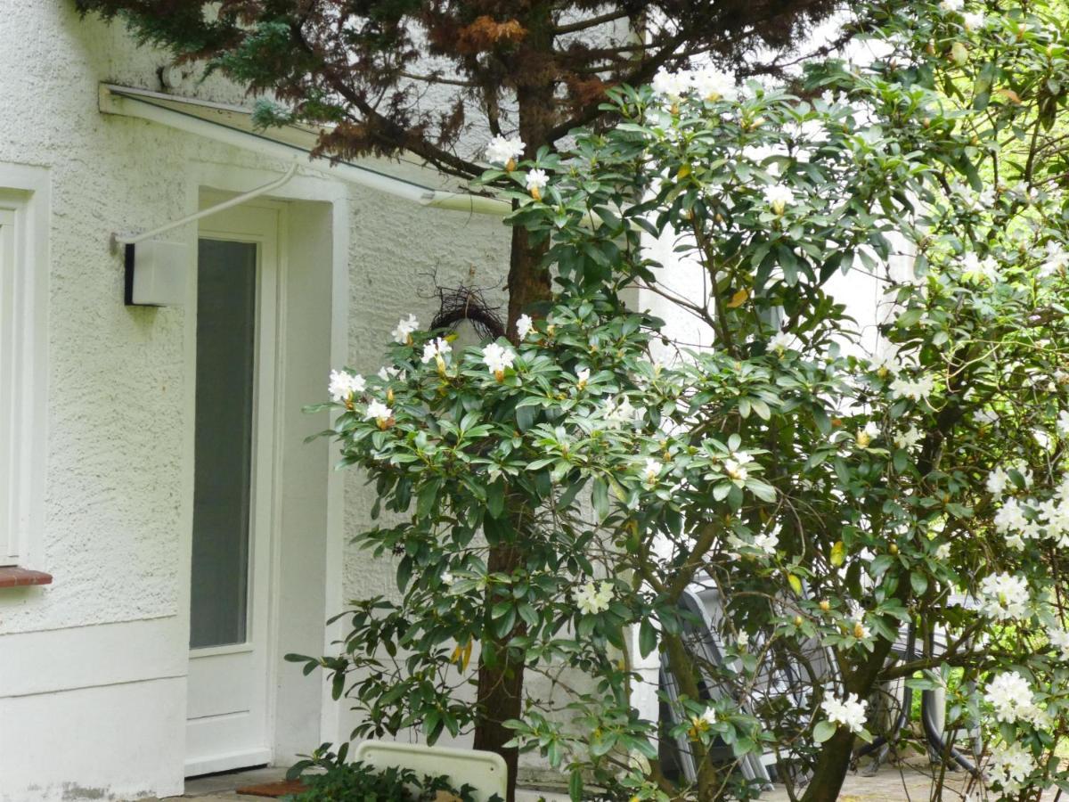Ferienwohnung Niemann In Lutterloh Unterluss Buitenkant foto