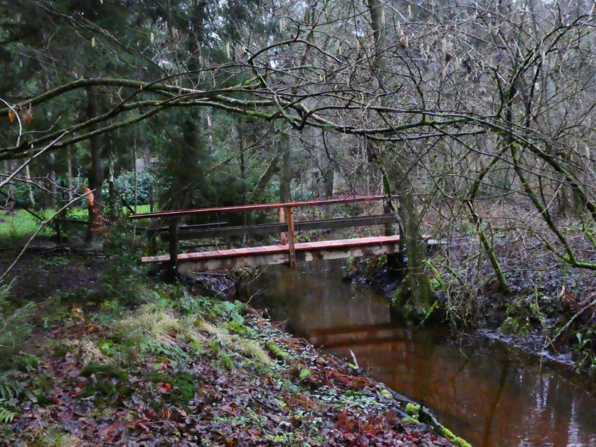 Ferienwohnung Niemann In Lutterloh Unterluss Buitenkant foto