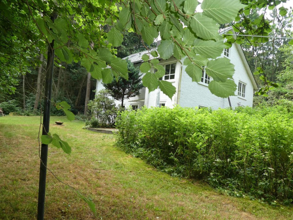 Ferienwohnung Niemann In Lutterloh Unterluss Buitenkant foto